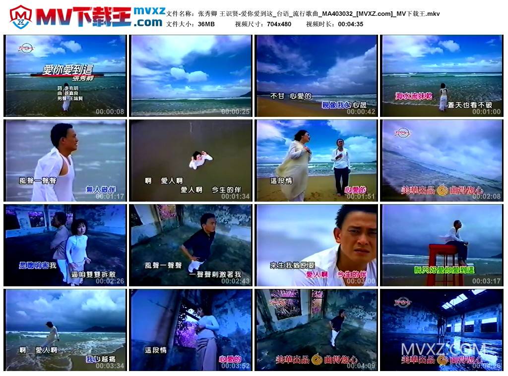 张秀卿 王识贤-爱你爱到这_台语_流行歌曲_MA403032